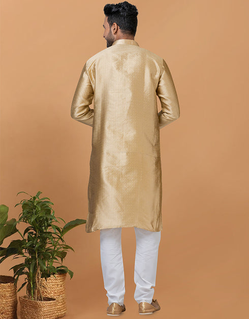 Readymade Men's Kurta Pyjama Light Chiku Kurta Silk Churidar Back View