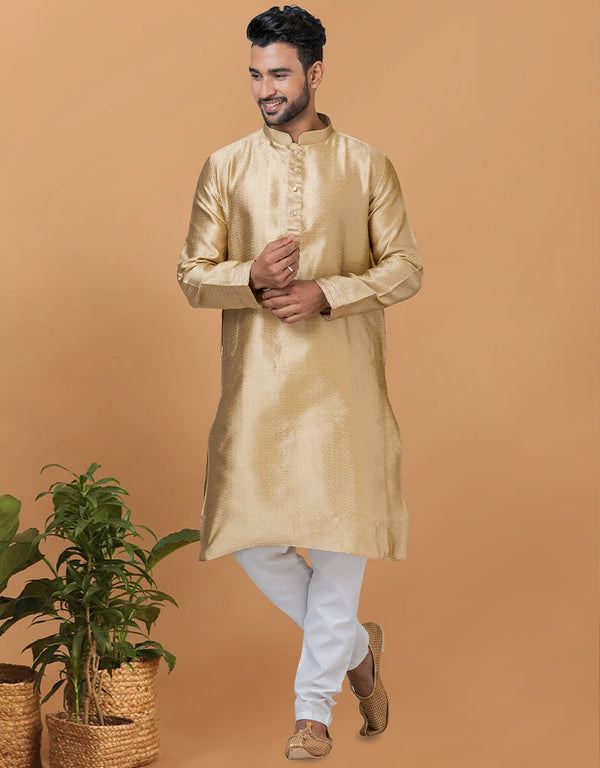 Readymade Men's Kurta Pyjama Light Chiku Kurta Silk Churidar Front View