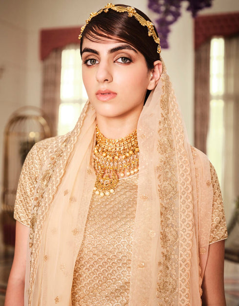 Beige Lehenga style Suits Soft Net With Inner Salwar Kameez in Heavy Embroidery, Stone & Lace Work Closure View Embroidery