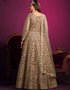 Light Taupe Net Pant Anarkali Back View