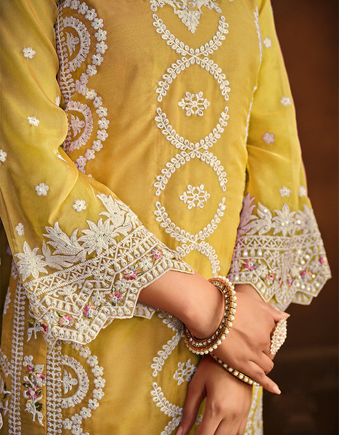 Designer Party Wear Net Salwar Suit Collection Saffron Mango Soft Organza Pant Pakistani Suit Side View