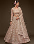 Royal Beige Soft Net Lehenga Choli