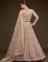 Royal Beige Soft Net Lehenga Choli Back View