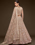 Royal Beige Soft Net Lehenga Choli Salwar Kameez