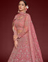 Fantasy Rose Soft Net Lehenga Choli Closure View