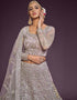 Dusky Orchid Soft Net Lehenga Choli Back View