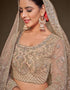 Royal Beige Soft Net Lehenga Choli Closure View
