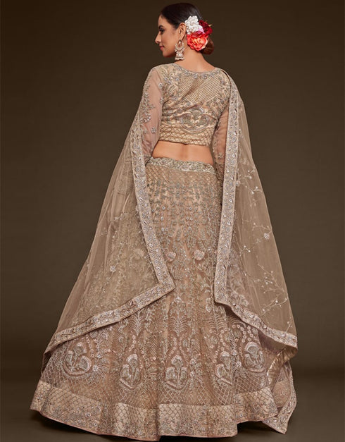Royal Beige Soft Net Lehenga Choli Back View