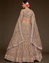 Royal Beige Soft Net Lehenga Choli Back View