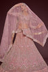 Pearl Pink Soft Net Lehenga Choli Closure View