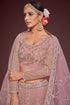 Pearl Pink Soft Net Lehenga Choli Back View