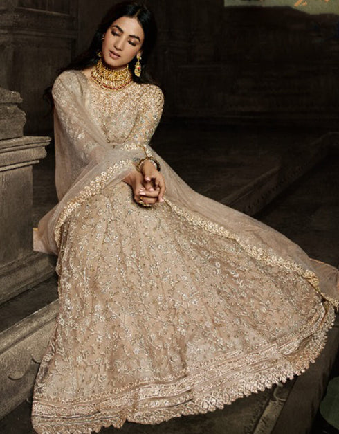 Dark Beige Net Pant Anarkali Closure View