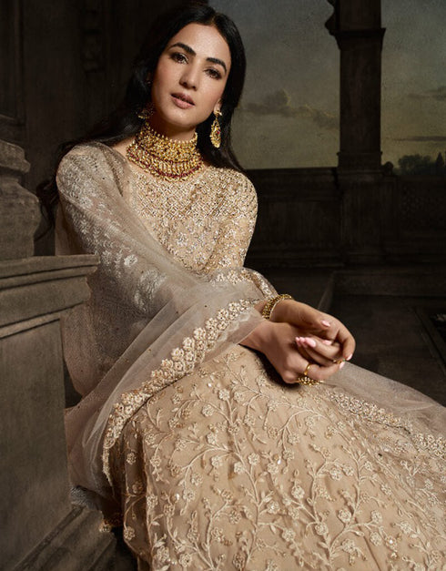 Dark Beige Net Pant Anarkali Back View