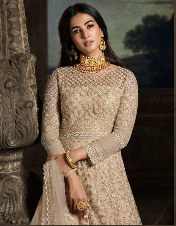 Dark Beige Net Pant Anarkali