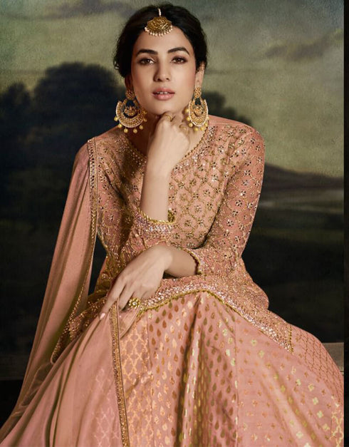 Pinkish Tan Net Lehenga Suit Closure View