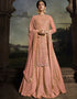 Pinkish Tan Net Lehenga Suit