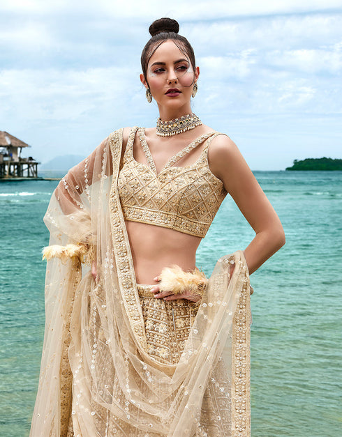 Designer Wedding Wear Heavy Net Lehenga Choli Collection Cream Net Lehenga Choli Back View