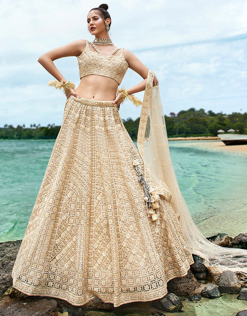 Designer Wedding Wear Heavy Net Lehenga Choli Collection Cream Net Lehenga Choli Front View