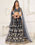 Trendy Designer Party Wear Lehenga Choli Black Butterfly Net Lehenga Choli Front View