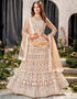 Designer Traditional Wedding Wear Lehenga Choli Beige Net Lehenga Choli Front View