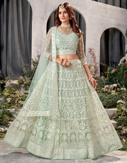 Designer Traditional Wedding Wear Lehenga Choli Pista Net Lehenga Choli Front View
