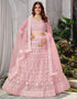 Designer Traditional Wedding Wear Lehenga Choli Pink Net Lehenga Choli Front View