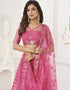 Designer Traditional Wedding Wear Lehenga Choli Pink Butterfly Net Lehenga Choli Back View
