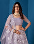 Designer Traditional Wedding Wear Lehenga Choli Grey Net Lehenga Choli Back View