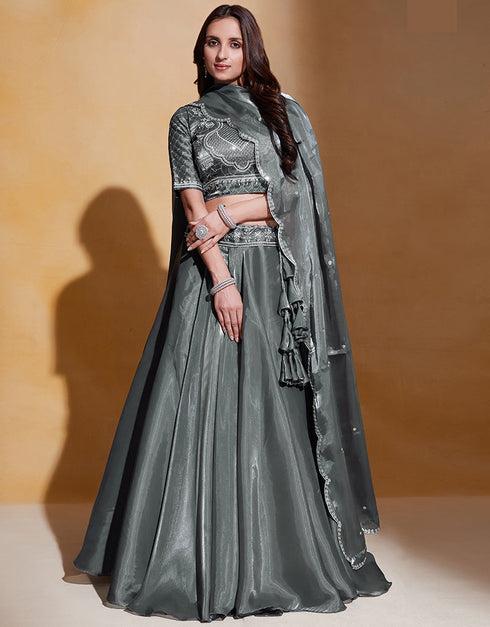 Traditional Function Wear Lehenga Choli Collection Grey Organza Silk Lehenga Choli Front View