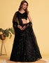 classy black velvet designer party wear lehenga choli with black organza net 13659-acy4079 Front View