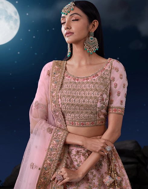 trendy pink soft net traditional wear heavy lehenga choli collection with pink soft net 13703-acy4357 Close-up View