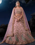 trendy pink soft net traditional wear heavy lehenga choli collection with pink soft net 13703-acy4357 Front View