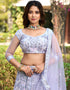 fashionable lavender net a designer look party wear lehenga choli with lavender net of-13742-acy4609 Back View