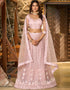 modern peach net a designer look party wear lehenga choli with peach net of-13742-acy4611 Front View