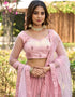 sophisticated light pink net a designer look party wear lehenga choli with light pink net of-13742-acy4612 Back View