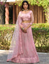 sophisticated light pink net a designer look party wear lehenga choli with light pink net of-13742-acy4612 Front View