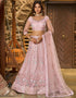 glamorous dusty pink net a designer look party wear lehenga choli with dusty pink net of-13742-acy4613 Front View