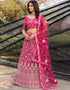 classy wine net a designer look party wear lehenga choli with wine net of-13742-acy4615 Front View
