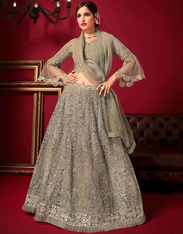 modern grey net with silk trendy designer party wear lehenga choli with grey net with silk 13446-prt19408 Front View