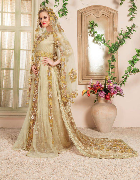 Takchita Wedding Kaftan With Multi Establishment With Veli