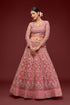 Pink Net Lehenga With Blouse & Dupatta For Indian & Pakistani Wedding Festival - Thread, Zari, Badla and Glitter Dori Embroidery Work